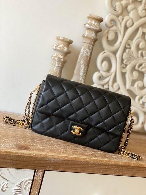 Chanel Handbags 234